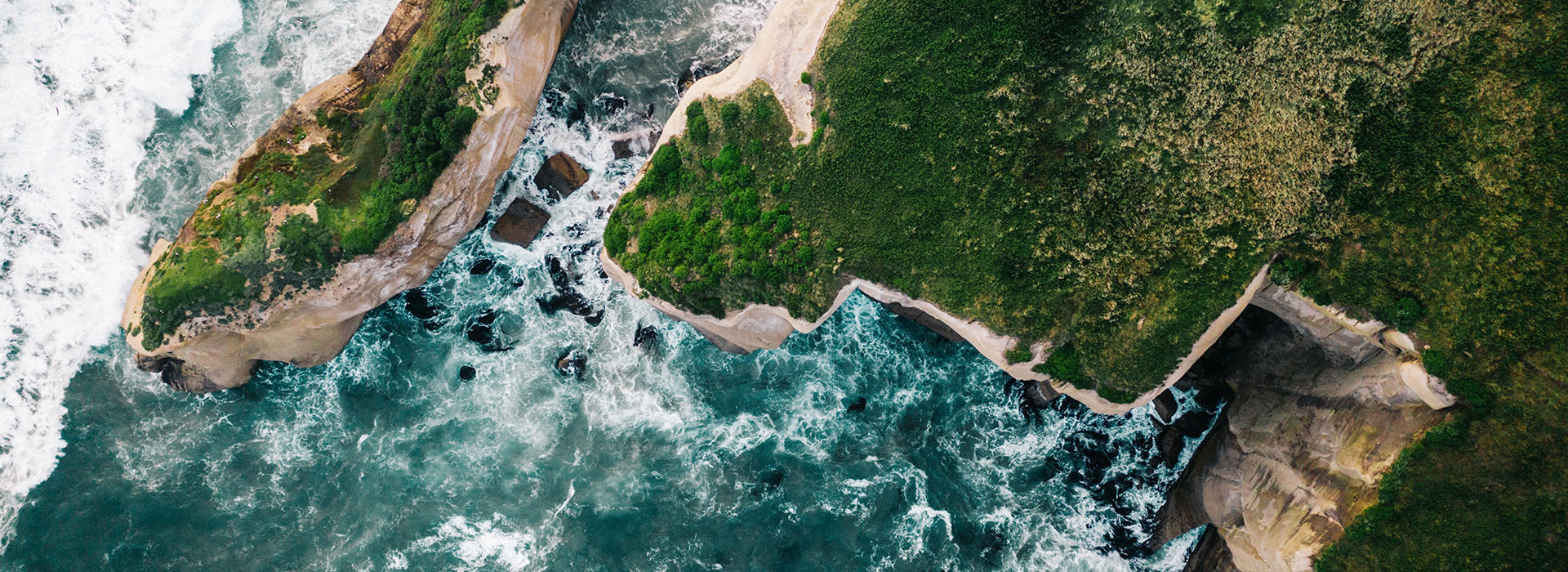 Partners like HiMark OSTC